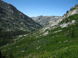 The Tahoe to Yosemite Trail heading West down Summit City Creek